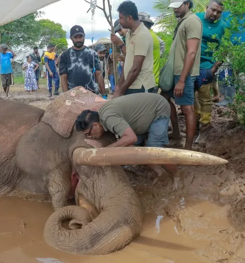 සජිත් ප්‍රේමදාස