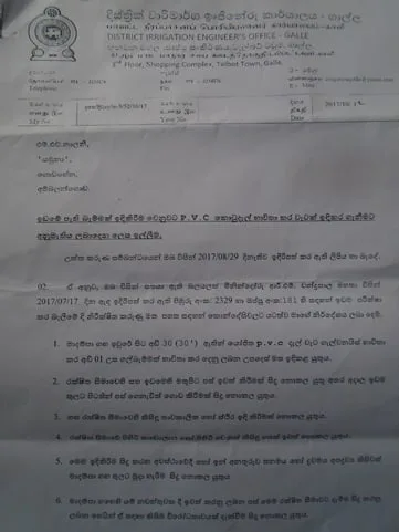 අතිශය දුර්ලභ ගිං පොල් කඩොලානය අනතුරේ