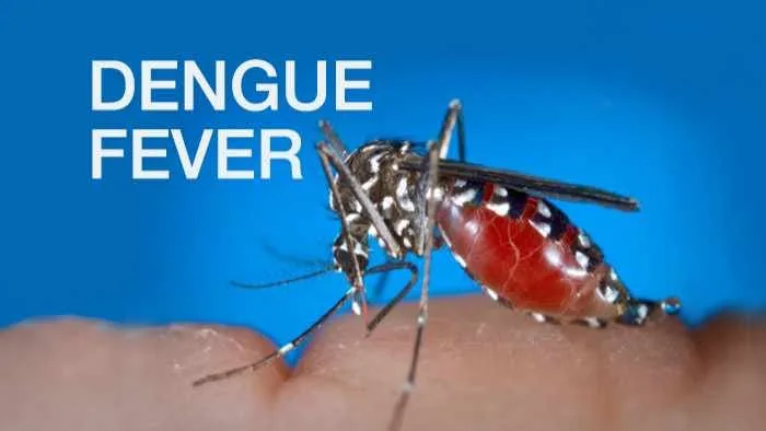 රෝහල් ගත නොවන ඩෙංගු රෝගීන්ට උපදෙස්..!
