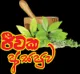 වකුගඩු රෝගයෙන් වැළකෙමු