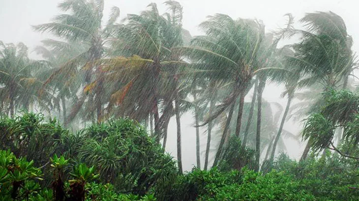 ඉදිරි පැය 09 තුළ ගිගුරුම් සහිත වැසි සහ තද සුළං