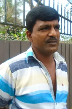 අතිශය දුර්ලභ ගිං පොල් කඩොලානය අනතුරේ