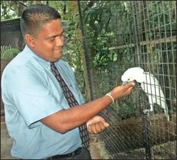 කෝටිපතියකු වූ මාළු පිස්සා..!