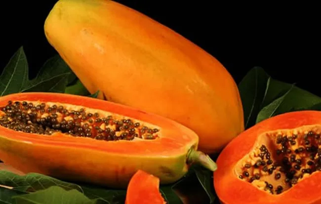 නුදුරේදී රටේ බීජ අර්බුදයක්..?