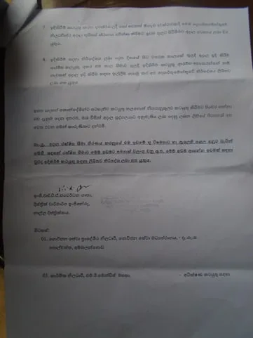අතිශය දුර්ලභ ගිං පොල් කඩොලානය අනතුරේ
