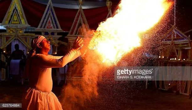 අගමැතිට පිල්ලි යවලා..!