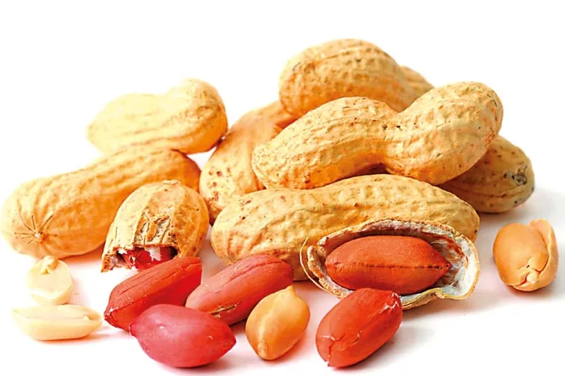 උඳු -රටකජු ගෙන්වීමත් අත්හිටුවයි..!