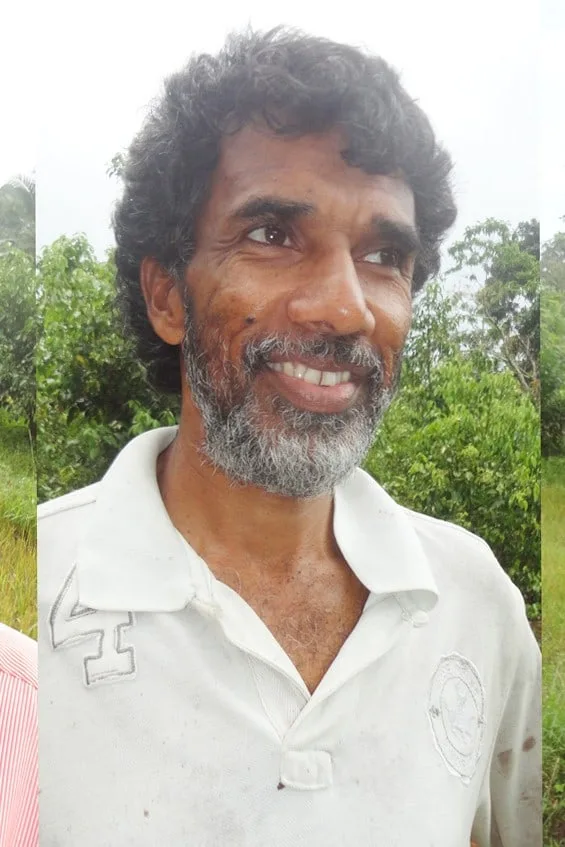 කොළ වියළීමේන් කුඹුරු අක්කර 50ක් විනාශයි