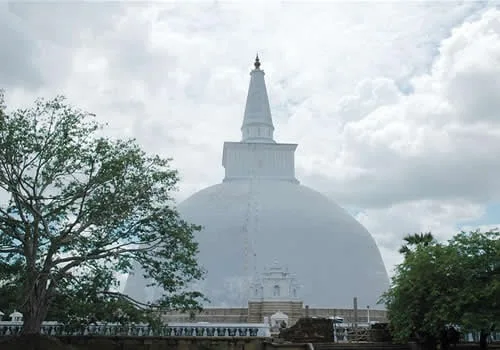 එජාපයේ සිංහල බෞද්ධකම මතු කරන්න සජිත් ප්රේමදාස උර දෙයි..!