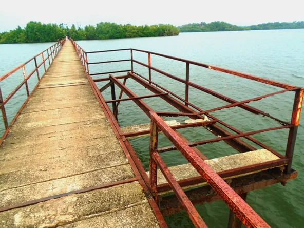 මාදුවේ මිනිස් ජීවිත අනතුරේ..!