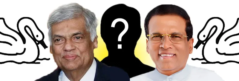 "20යි-විස්සට" රැල්ල හදන්න "හංසයා" යළි කරළිය පෙරළයි..!