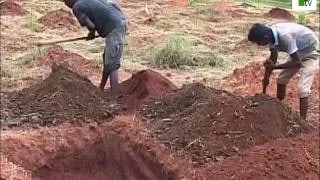 කාබනික වගාවේ නිරත ගොවීන්ට පොහොර සහනාධාර..!