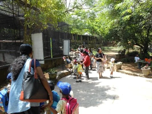 කෝටිපතියකු වූ මාළු පිස්සා..!