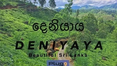 අවුරුදු තුනට අගමැති 64 වතාවක් හෙළිකොප්ටරයෙන් දෙනියායේ ගිහිල්ලා..!
