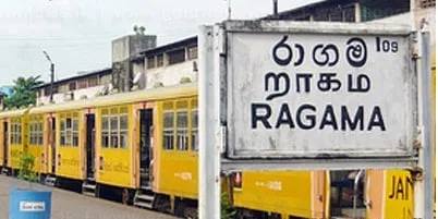 දුම්රියේ ගැටී දෙදෙනෙක් මරුට..!