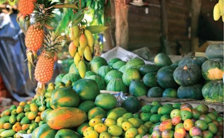 නිරෝගී ජිවිතයක් සඳහා සුව ආහාර පරිභෝජනය කරමු..!