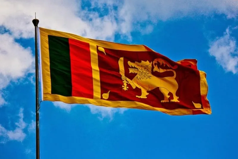 නිදහස පුස්සක් වුණාද..?