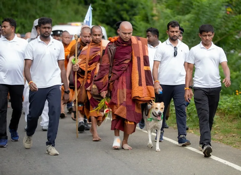 සාම පාගමන සහ සංහිඳියාවේ පොරොන්දුව