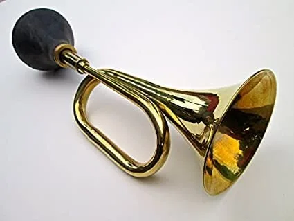 ප්රභූ රථවලට Horn ගැසූ තරුණයා වෙනුවෙන් එජාපය පෙරට
