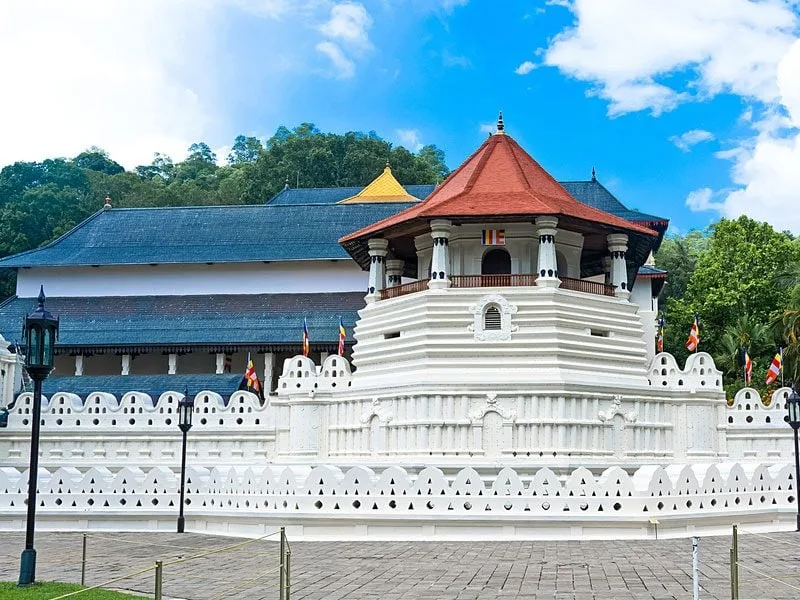 බෝගම්බර COVID කාල බෝම්බයක් ගැන කිරිඇල්ලගෙන් හෙළිදරව්වක්