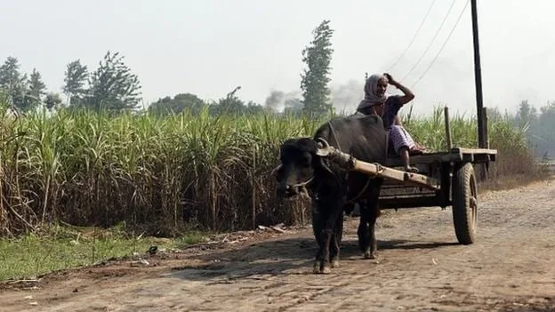 මාසික ශුද්ධිය ඇති ඉන්දියානු කාන්තාවන් ගර්භාෂ ඉවත් කරන්නේ ඇයි..?