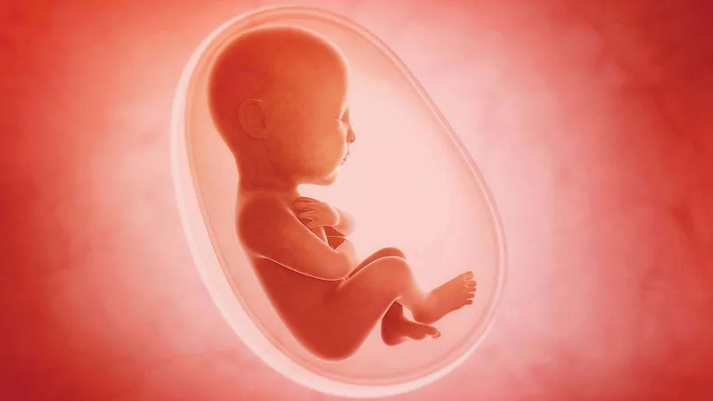 ගබ්සාව හා සම්බන්ධ නීතිය