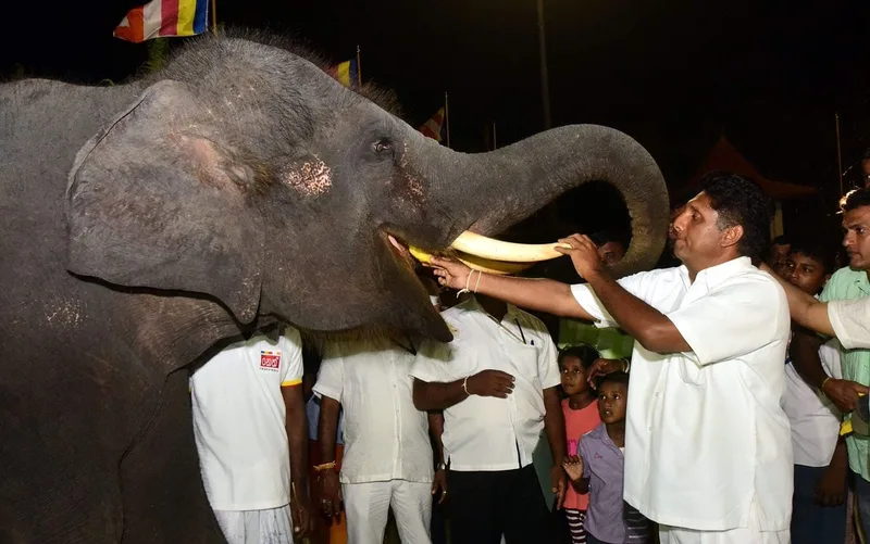 අලියද සජිත්ද?