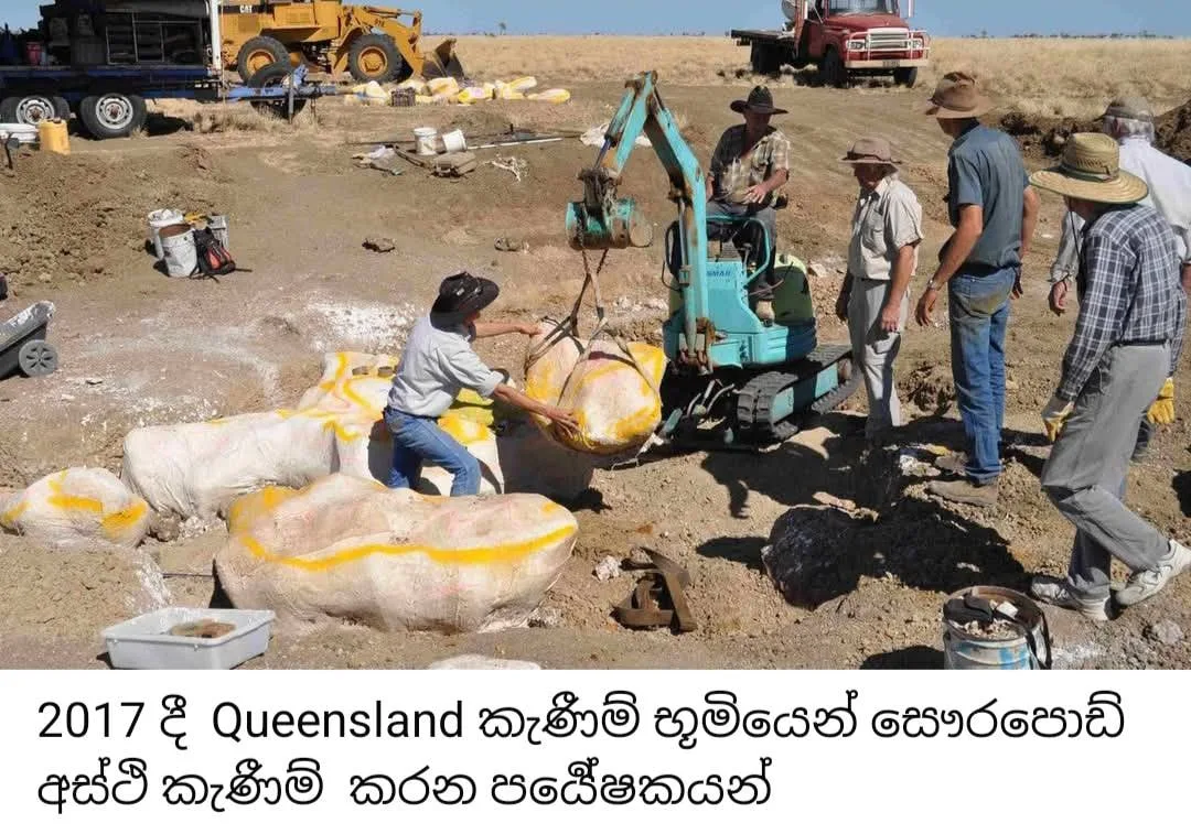 විද්යාඥයින් වසර මිලියන 95ක් පැරණි ඩයිනෝසෝරයෙකුගේ ආමාශය විවෘත කරයි
