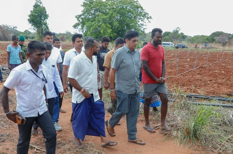 ඔයාමඩුව ප්රදේශයේ ගොවි ගැටලු සොයා බලන්න සජිත් පැමිණෙයි