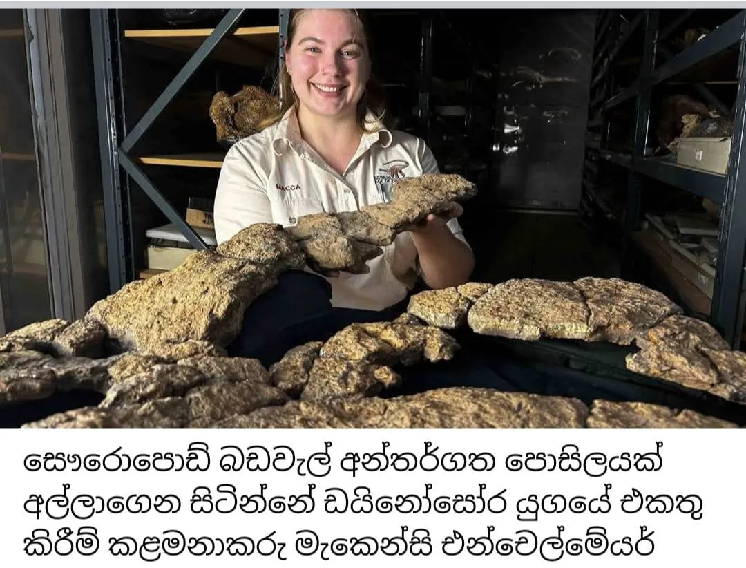 විද්යාඥයින් වසර මිලියන 95ක් පැරණි ඩයිනෝසෝරයෙකුගේ ආමාශය විවෘත කරයි