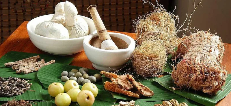 වෙදමහත්වරු පරික්ෂා භූමදානය දෙරණ හා නිරෝධායනය