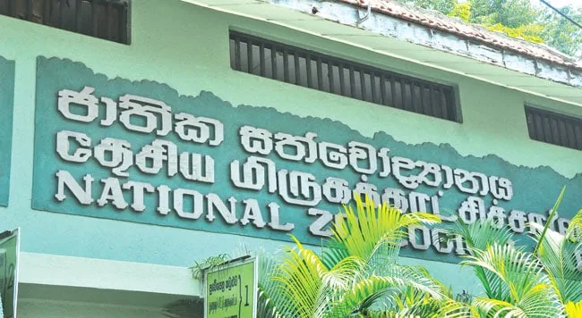 ජාතික සත්වෝද්‍යානයට නව අධ්‍යක්ෂවරියක්