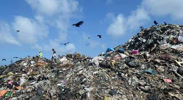 රටම මීතොටමුල්ලක් වන ලකුණු..?