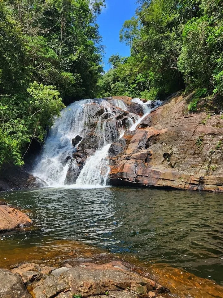 එක දවසින් සිංහරාජ අඩවියේ දිය ඇලි 7ක් බලන්න යමුද..?