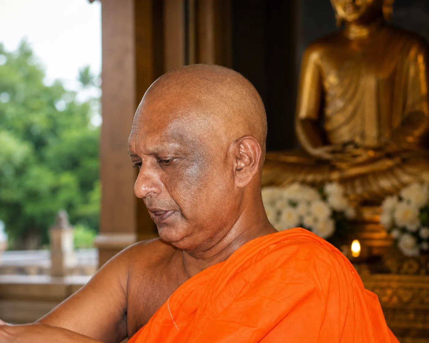 රනිල් දිනවන්න යන්නේ සජිත් නොවයි - නාමල්