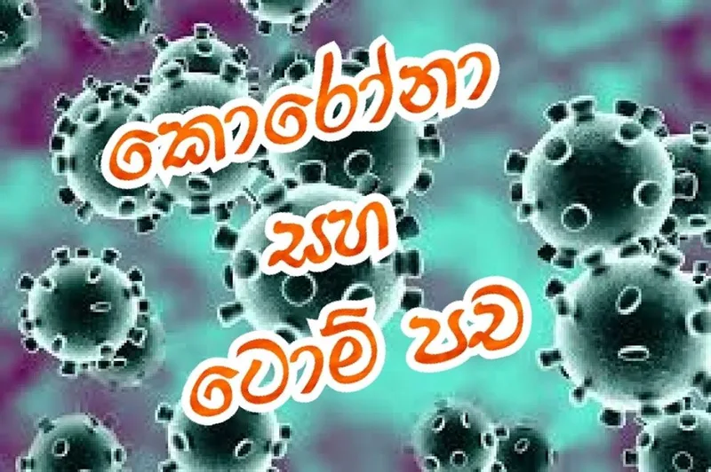 කොරෝනා සහ ටොම් පච