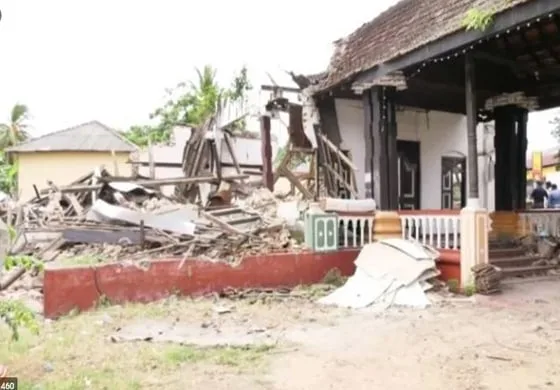 සභ්යත්ව සමාජයේ දේශපාලන භාවිතය