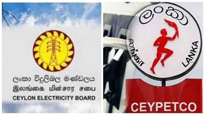තෙල් විදුලි ගුවන් ආයතනවල පාඩුව තුනේ කෝටි අසූ පන්දහසක්