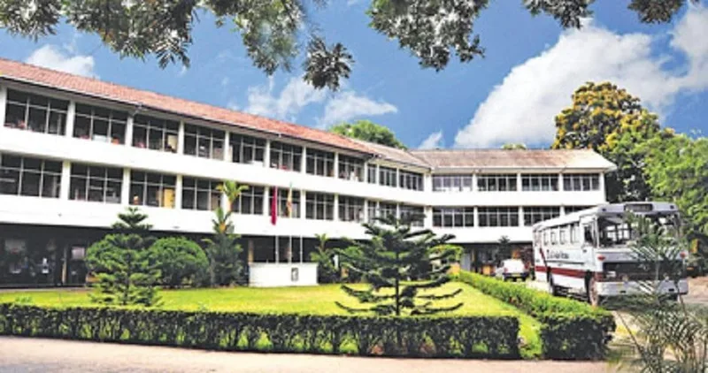 වළිගය පාග ගෙන දඟලන දේවි දියණියන්ට විරෝධය