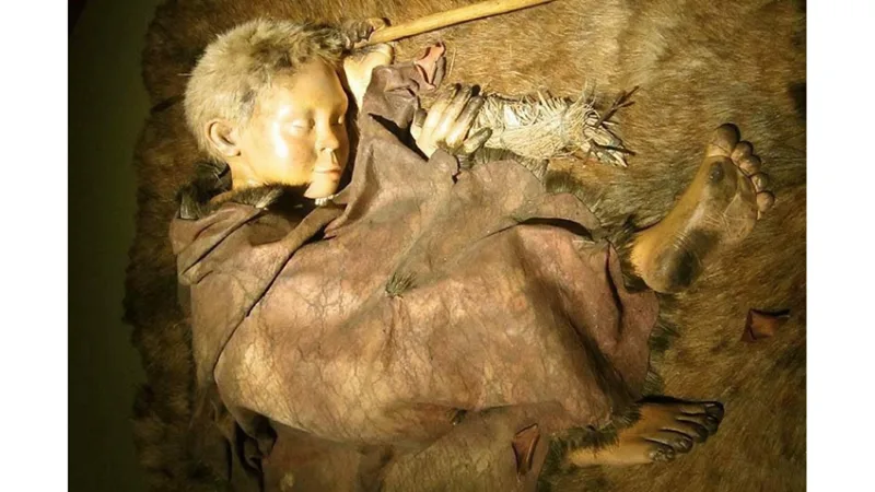 එක දරුවෙක් - විශේෂ දෙකක්