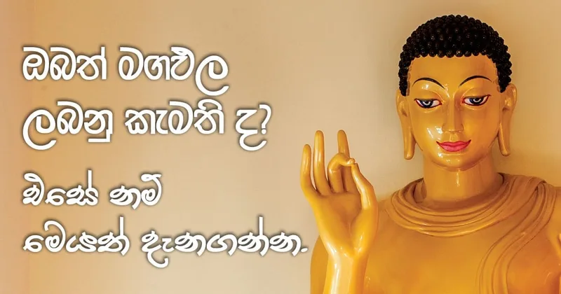 ඔබත් මගඵල ලබනු කැමති ද..?