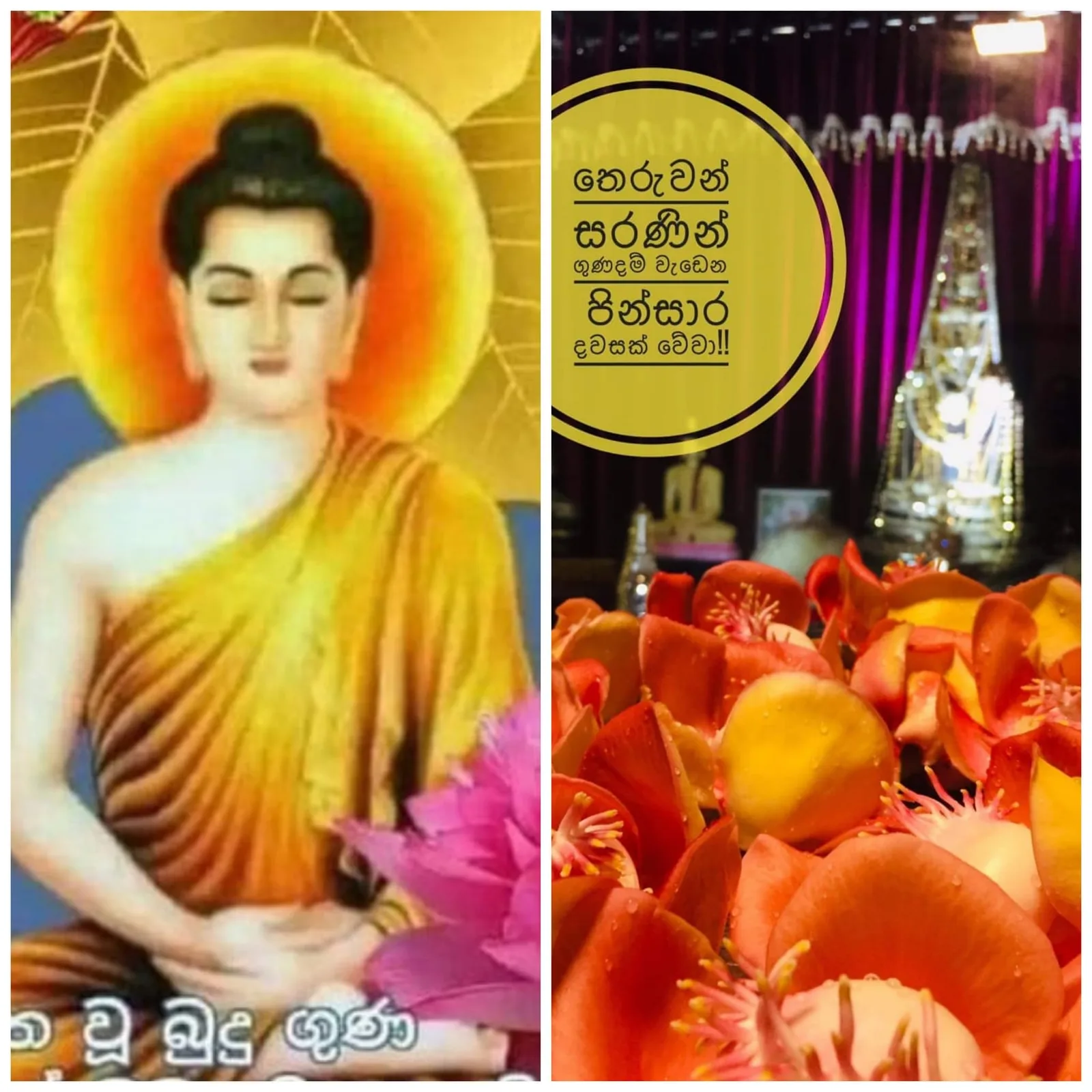 වොෂින්ටන් බෞද්ධ විහාර කඨින පිංකම 22 ඉරිදා