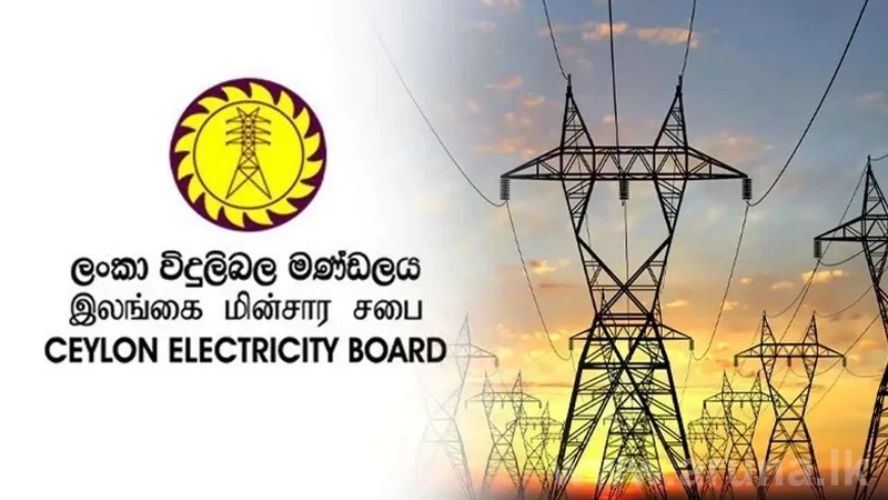 ලංවිම කෝටි 3874ක් පාඩු ලබයි - 2024 ලාභය කෝටි 14160