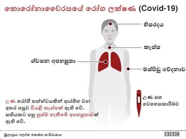 ශ්‍රී ලංකාවේ පැතිර යන නව කොරෝනා වෛරසය ගැන සිදු කළ අලුත්ම සොයාගැනීම
