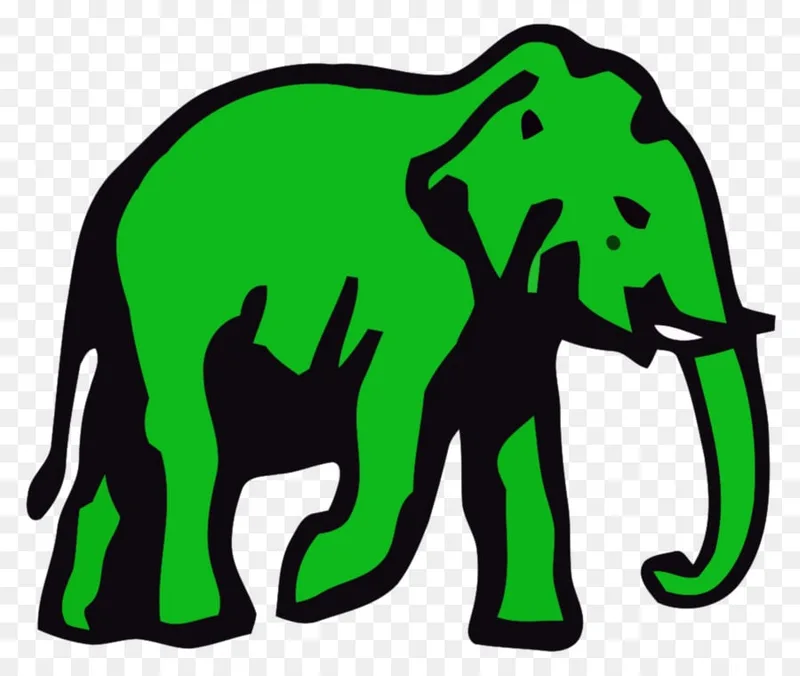 මනාප වෙනුවට අලියා මුල් කර ගෙන එජාපය සටනට බසී