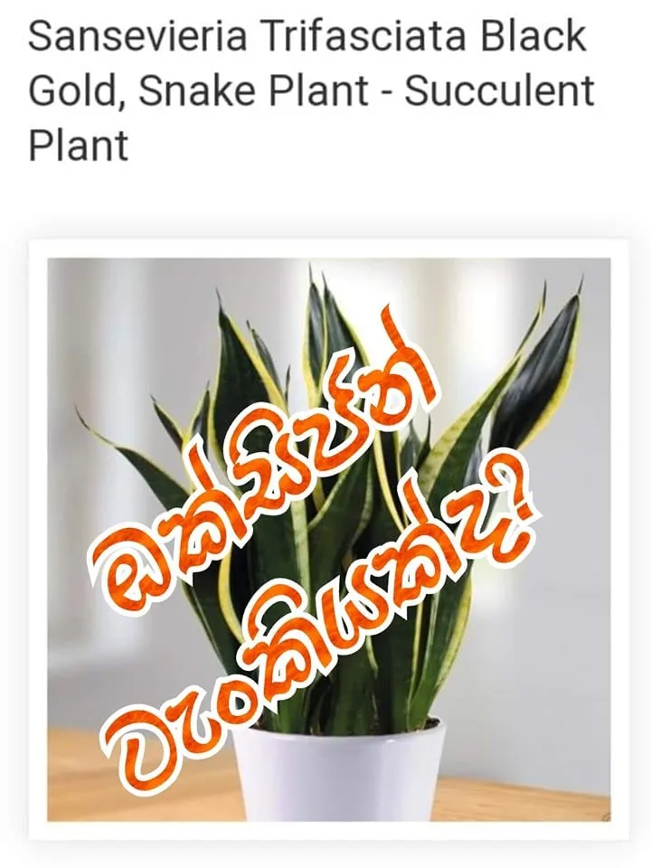 ඔක්සිජන් ටැංකියක්...?