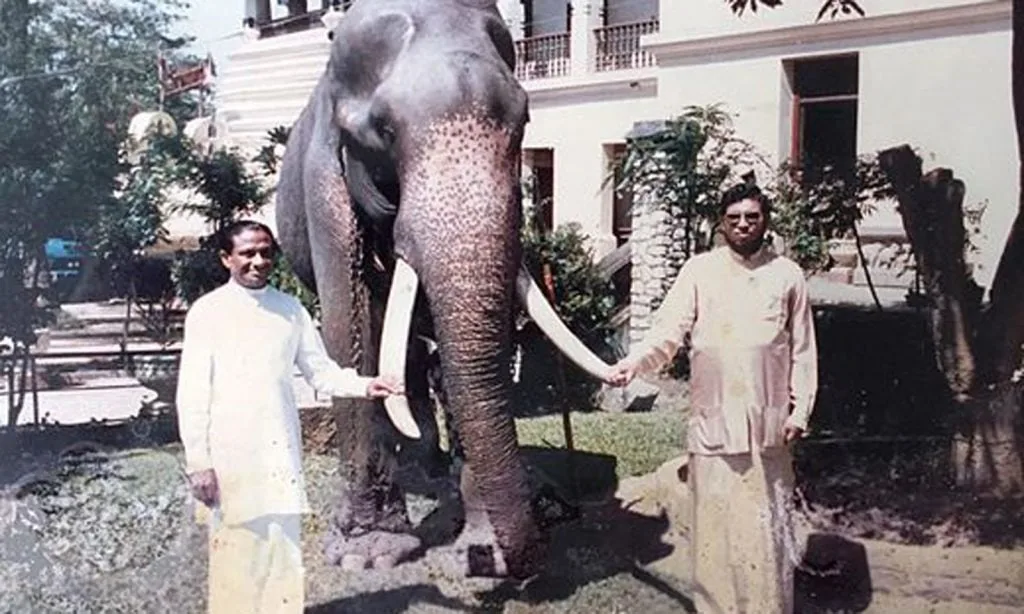 යූඑන්පී අපේක්ෂකයා ‌තෝරන්නේ ‌මෙහෙමෙයි..!