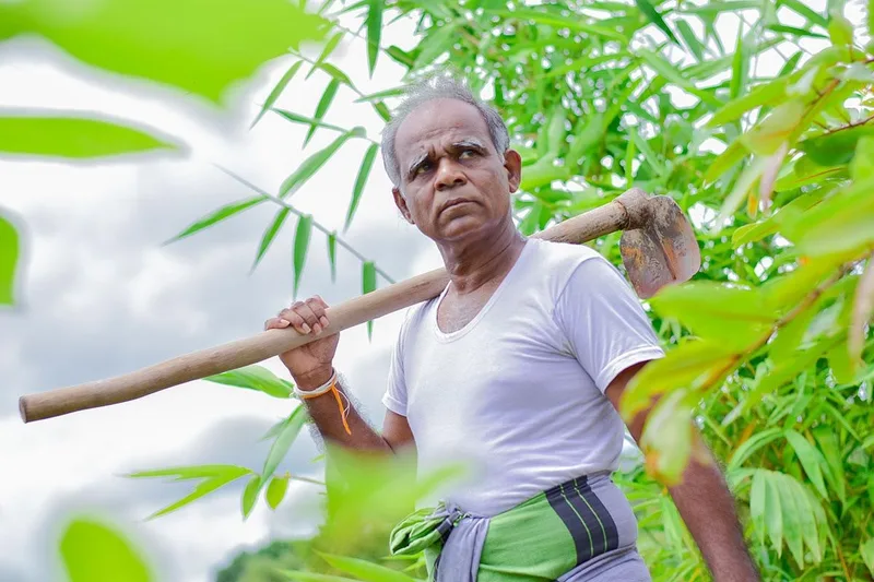 ටයිකෝට් ඇදගත්ත ආණ්ඩුවේ මැති ඇමතිවරුන්ට අද ගමේ සිටින ගොවියා අමතක වෙලා