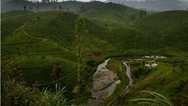 මානව හිමිකම් අපට අත්යවශ්යම ද..?