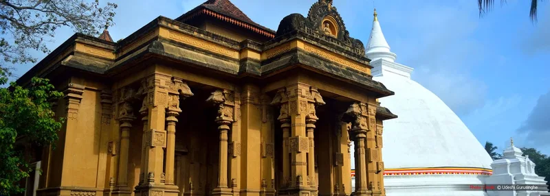 බෞද්ධයාගේ ශ්රද්ධාව නාගයාට යොමු කෙරුණා